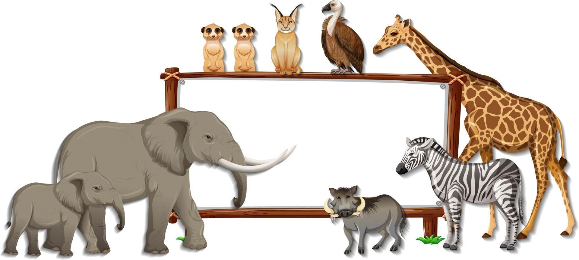 Banner en blanco con personaje de dibujos animados de animales salvajes sobre fondo blanco. vector