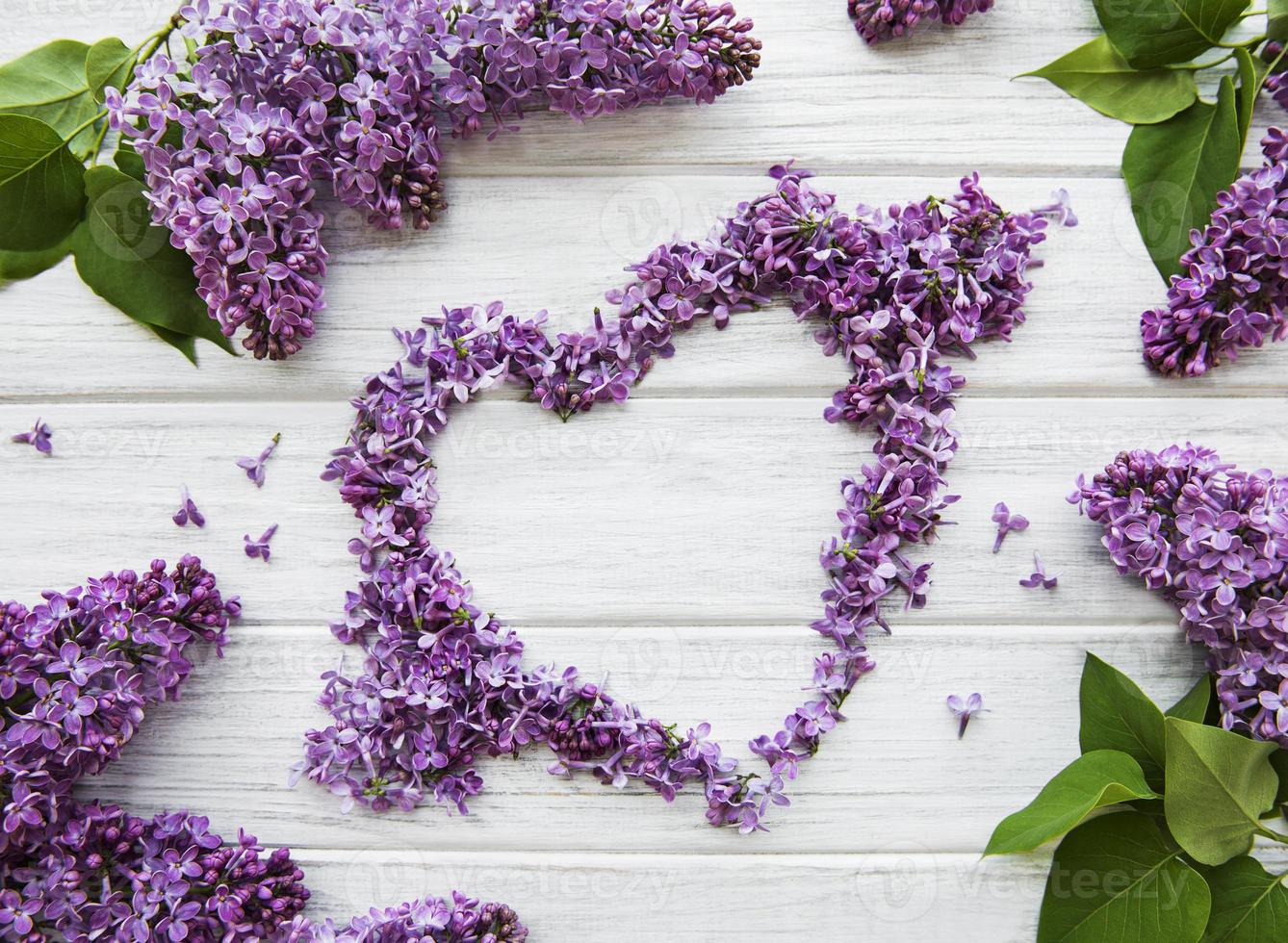 Frame of branches and flowers of lilac in the shape of a heart photo