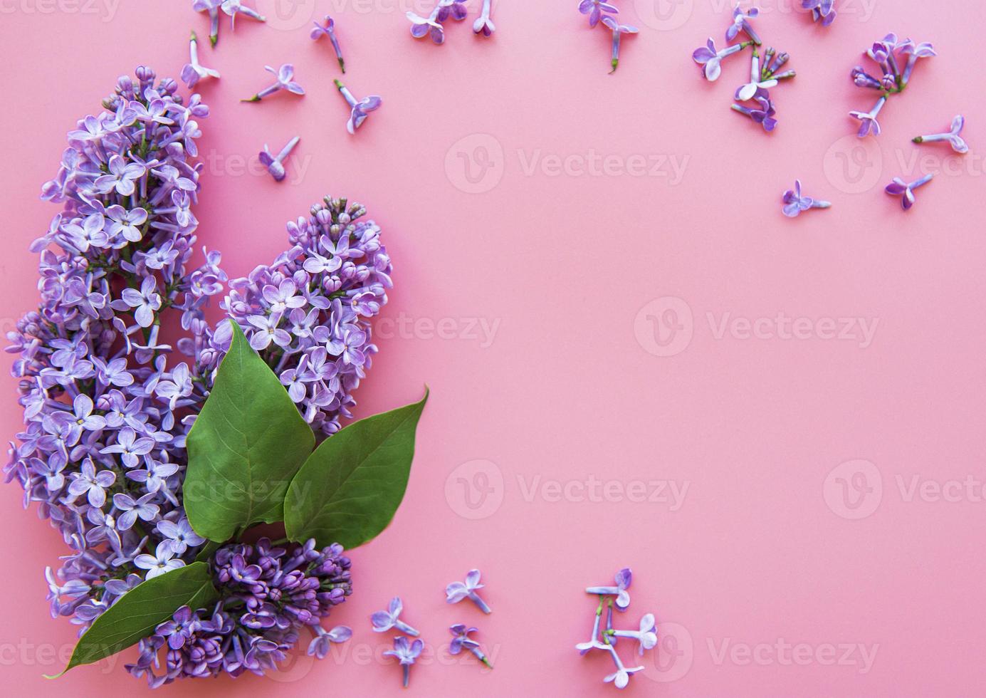 marco de ramas y flores de color lila foto