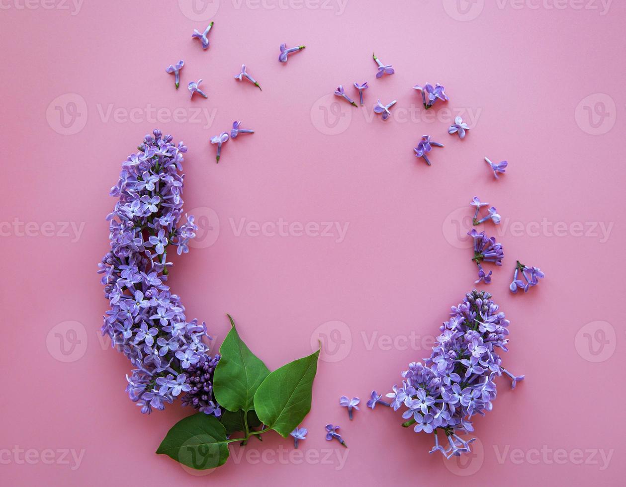 marco de ramas y flores de color lila en forma de ciclo foto