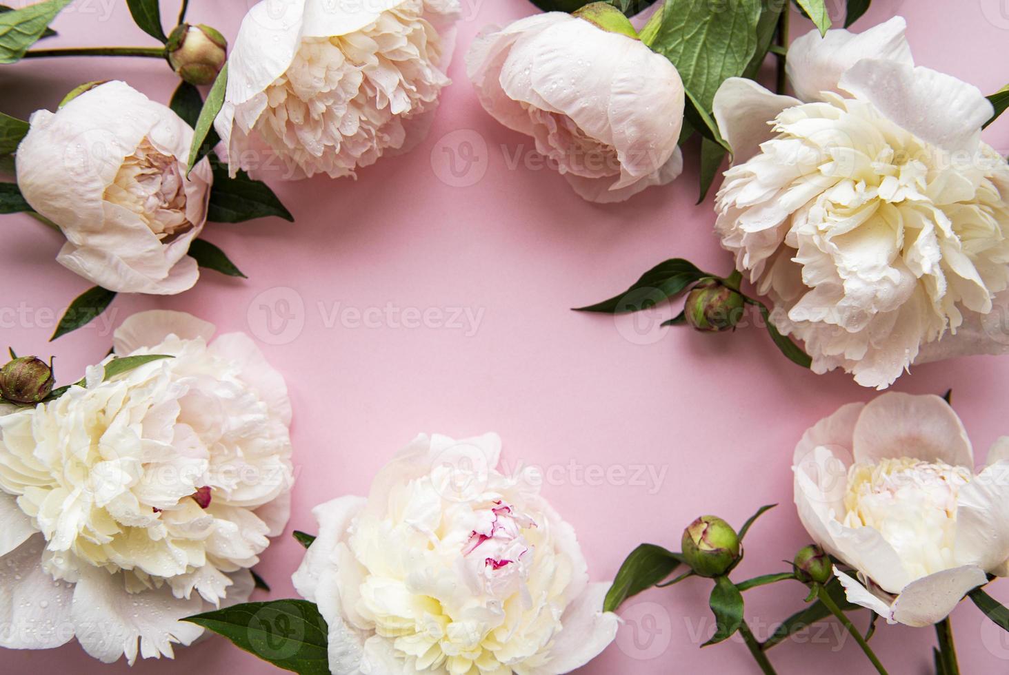 flores de peonía sobre un fondo rosa pastel foto