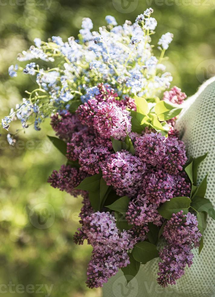 Bouquet of lilacs in woman hands photo