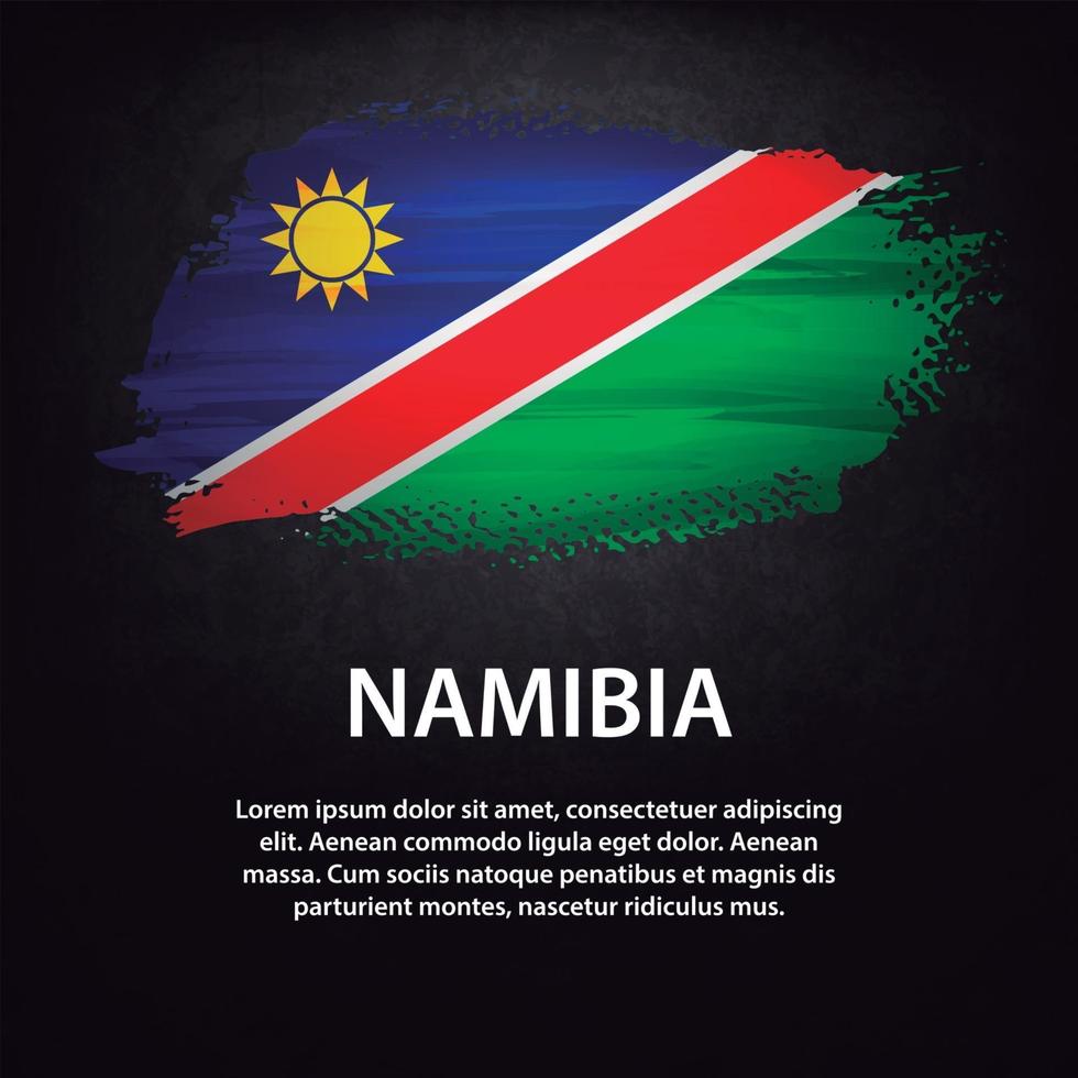 Namibia flag brush vector