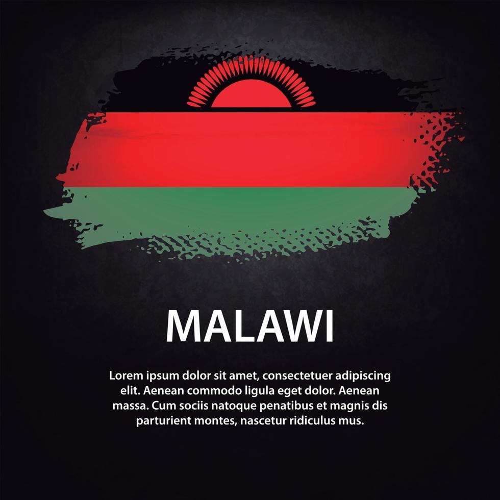 Malawi flag brush vector