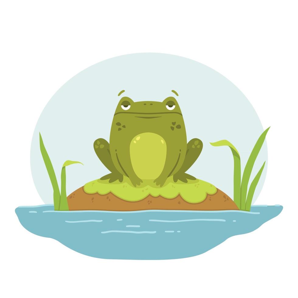 A frog in swamp. Toad sits on a rock. vector