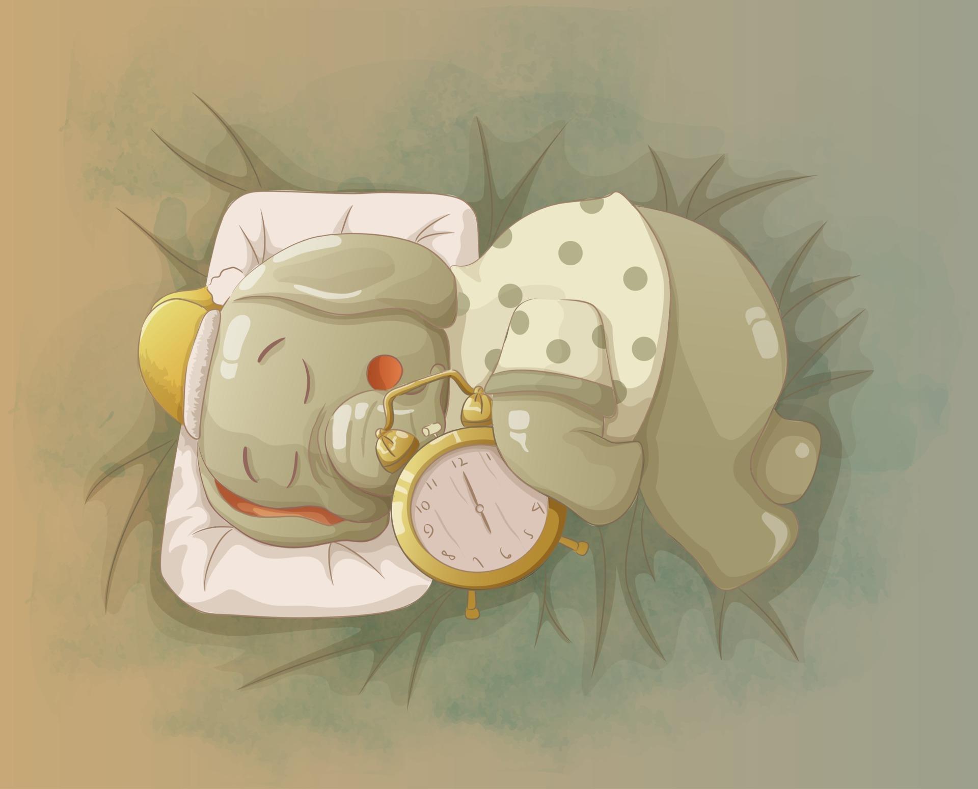 спящий слоник. спящий слоник. спящие слоны. храпящий слон. спокойной ночи слоненьк.