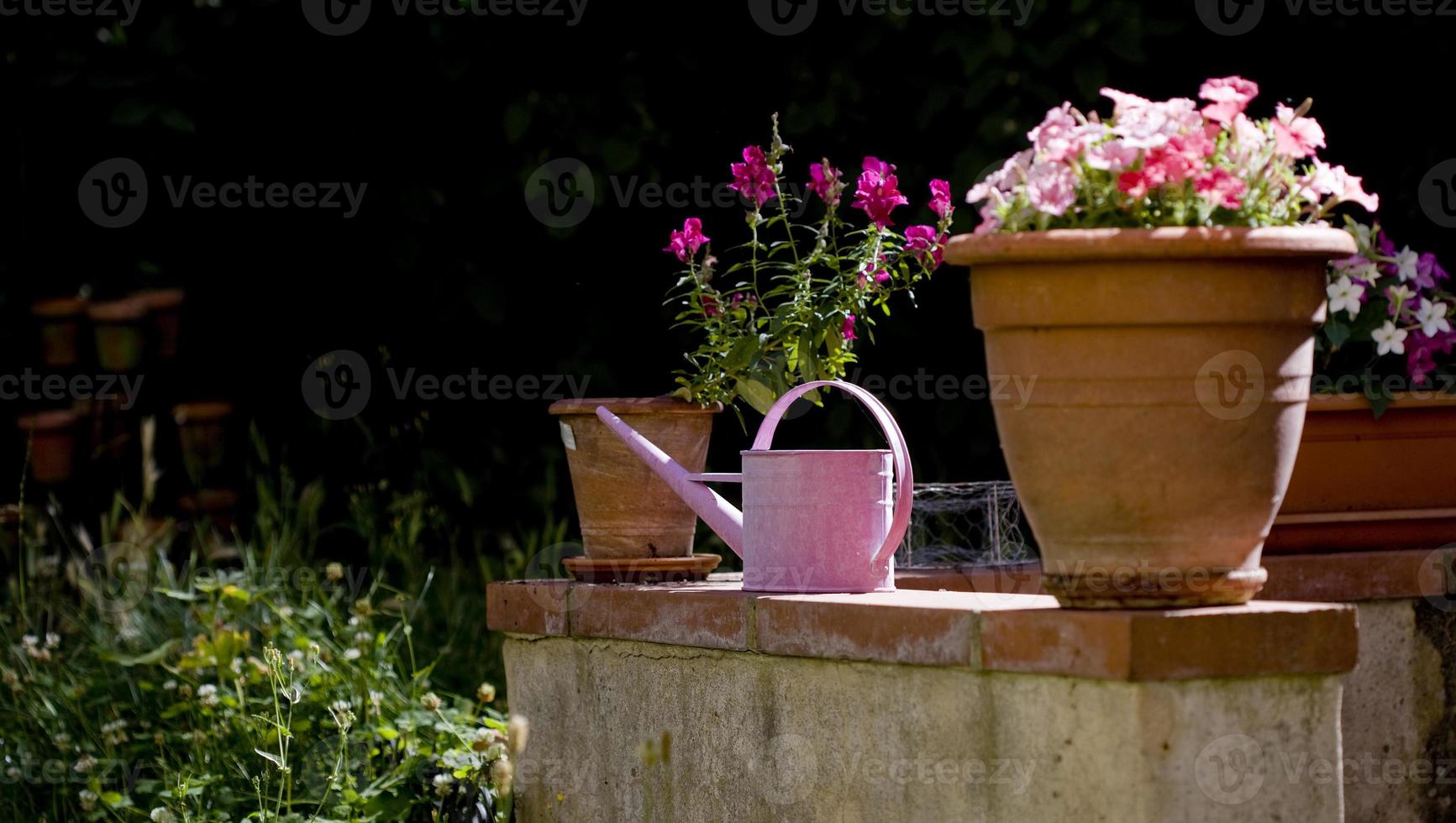 A pink watering can in a French garden photo