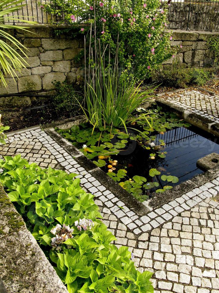 Pequeño estanque de piedra con plantas acuáticas, en un jardín en Portugal foto