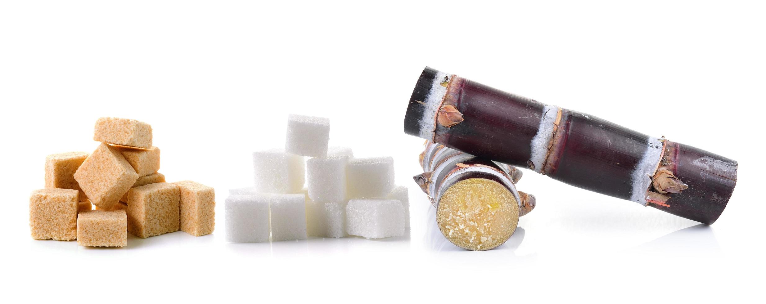 Caña de azúcar y terrones de azúcar sobre fondo blanco. foto
