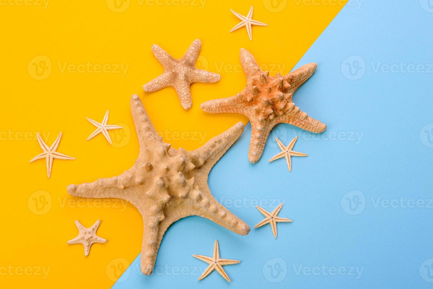 Glasses and hat with shells and sea stars on a colored background photo