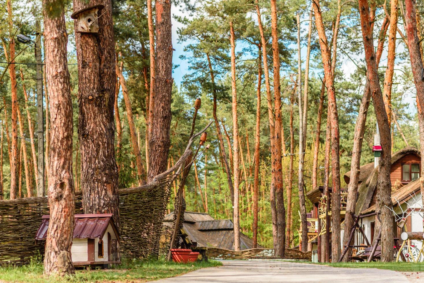 alquiler de vacaciones cabaña en el bosque cabaña en el campo junto al lago foto