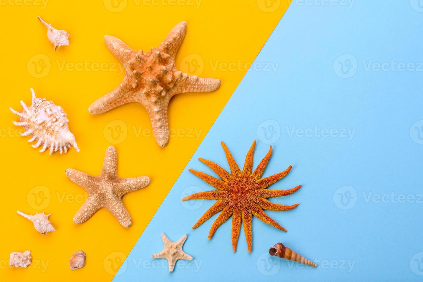 Glasses and hat with shells and sea stars on a colored background photo