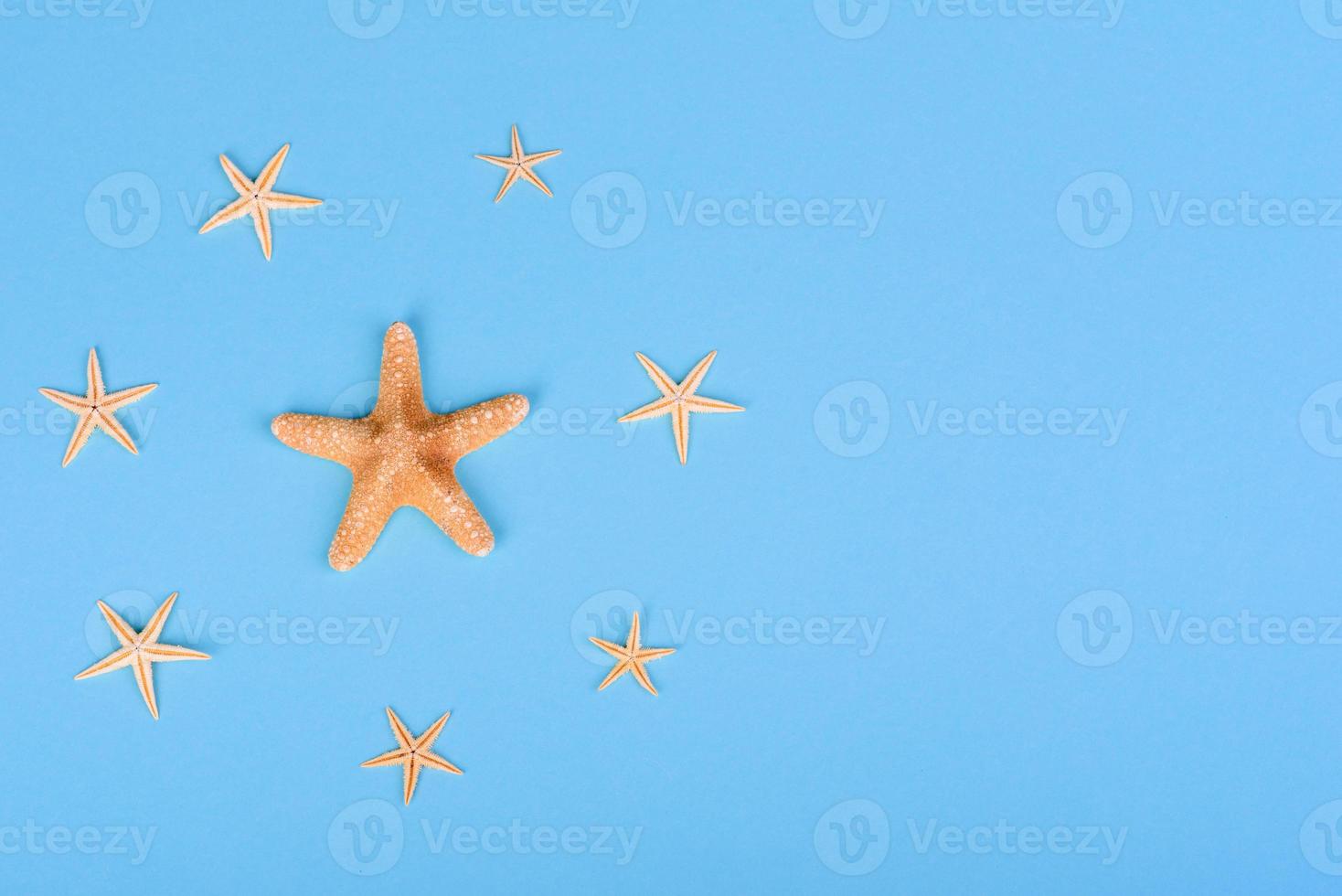 Glasses and hat with shells and sea stars on a colored background photo