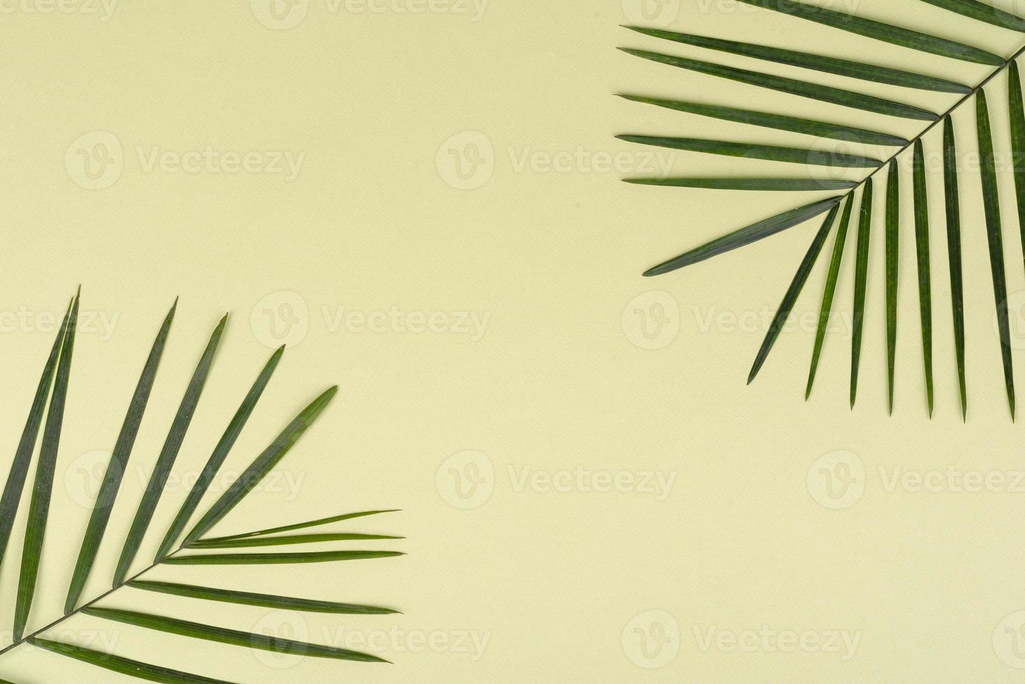 Fruit carambol, beach accessories and foliage of a tropical plant on colored paper photo