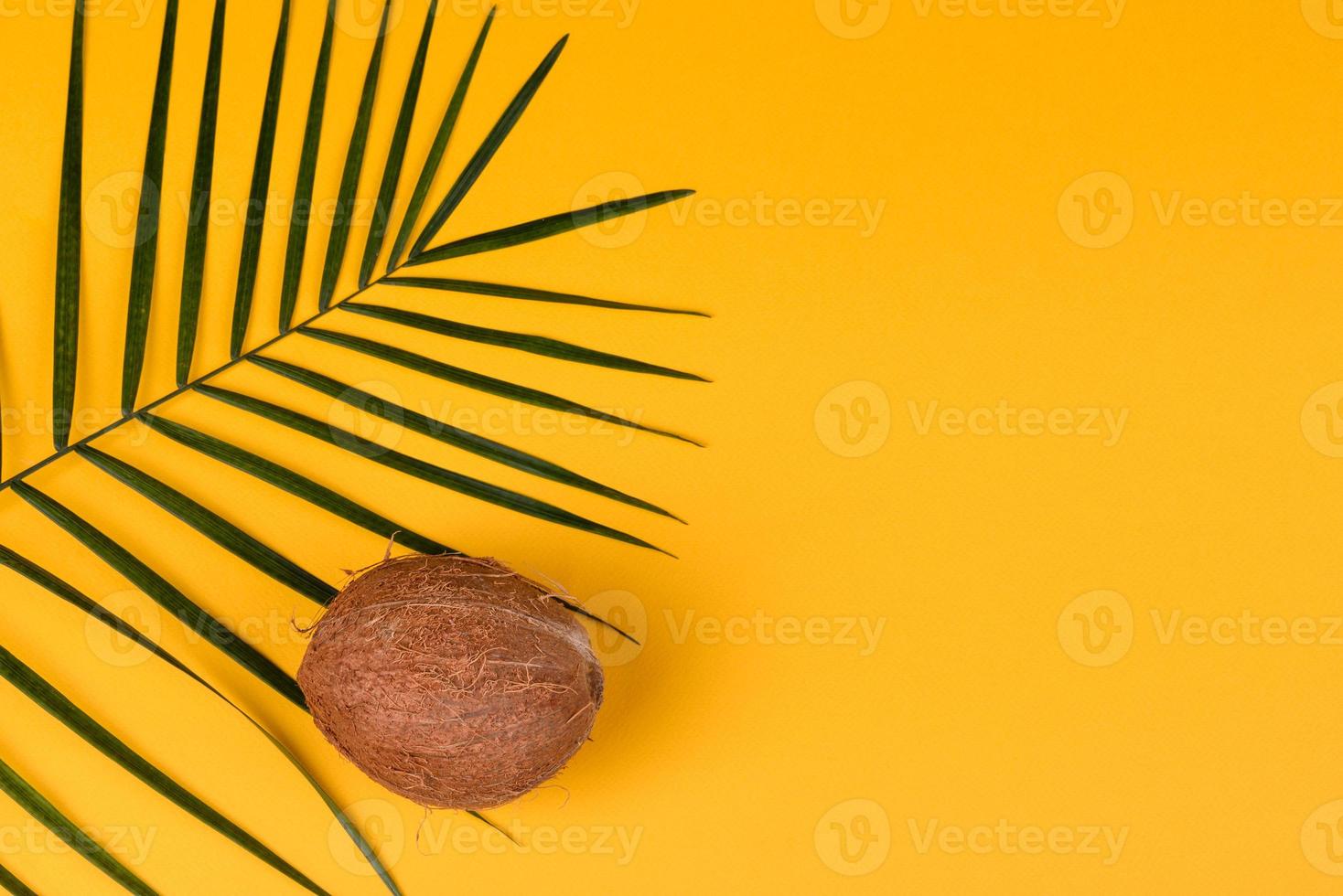 Beach accessories with shells and sea stars on a colored background photo