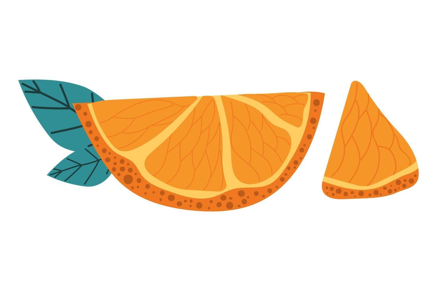 Hand drawn slice of orange with modern leaves. Summer concept. vector