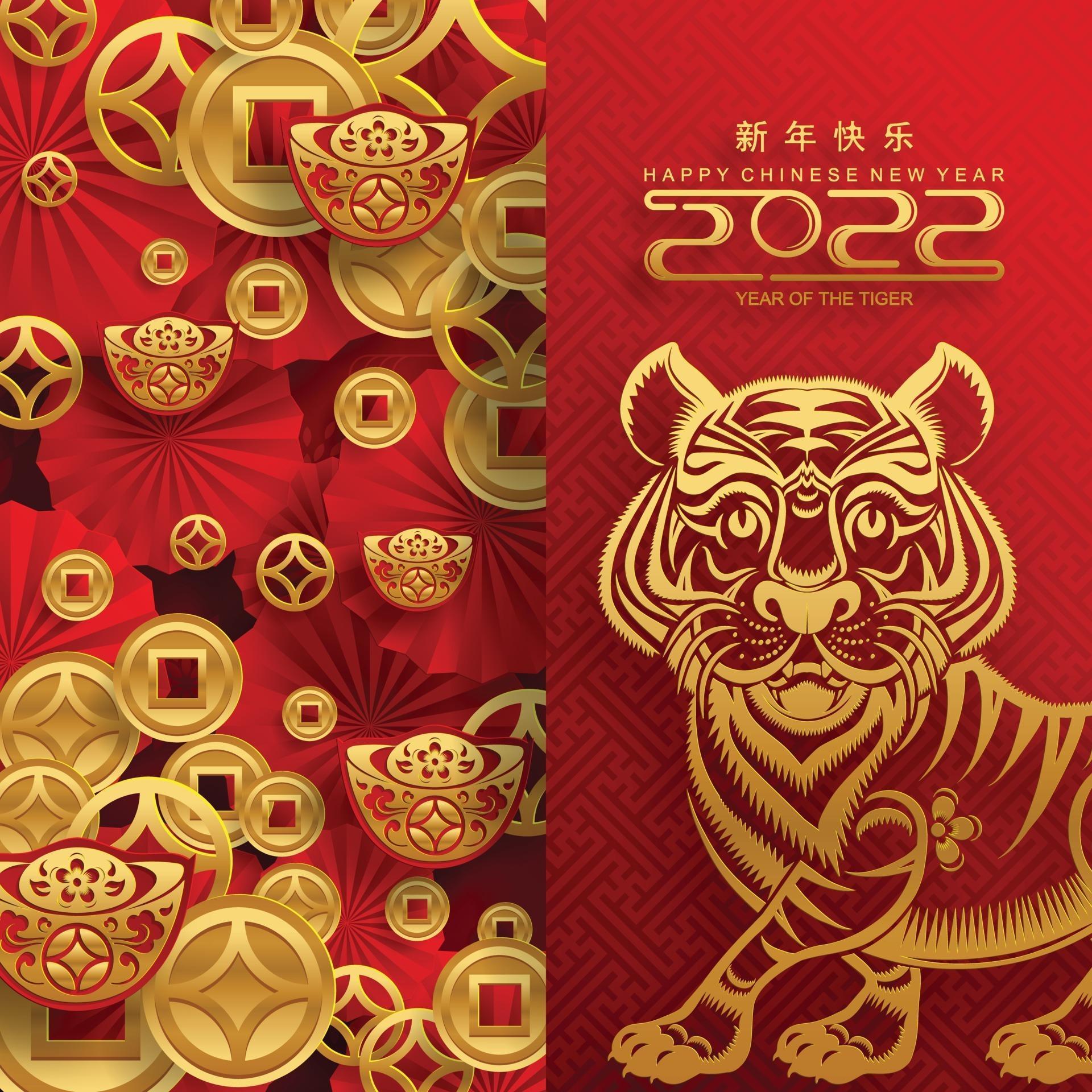 chinese-new-year-wishes-2022-year-of-tiger-bathroom-cabinets-ideas