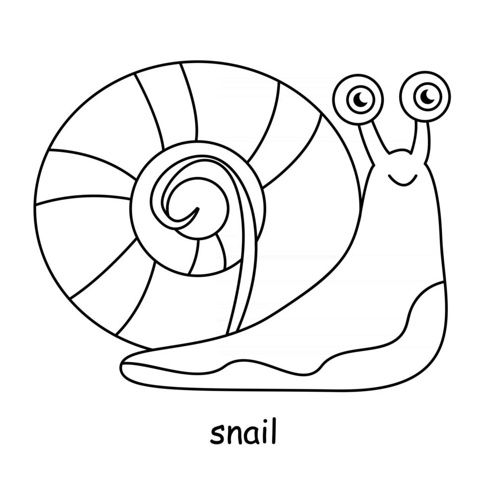 children coloring on the theme of animal vector, snail vector