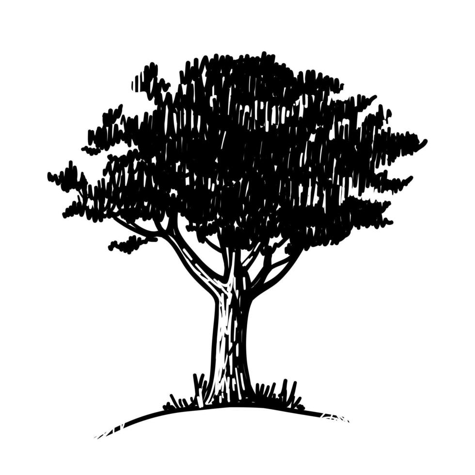 bosquejo del árbol negro aislado en un fondo blanco. vector