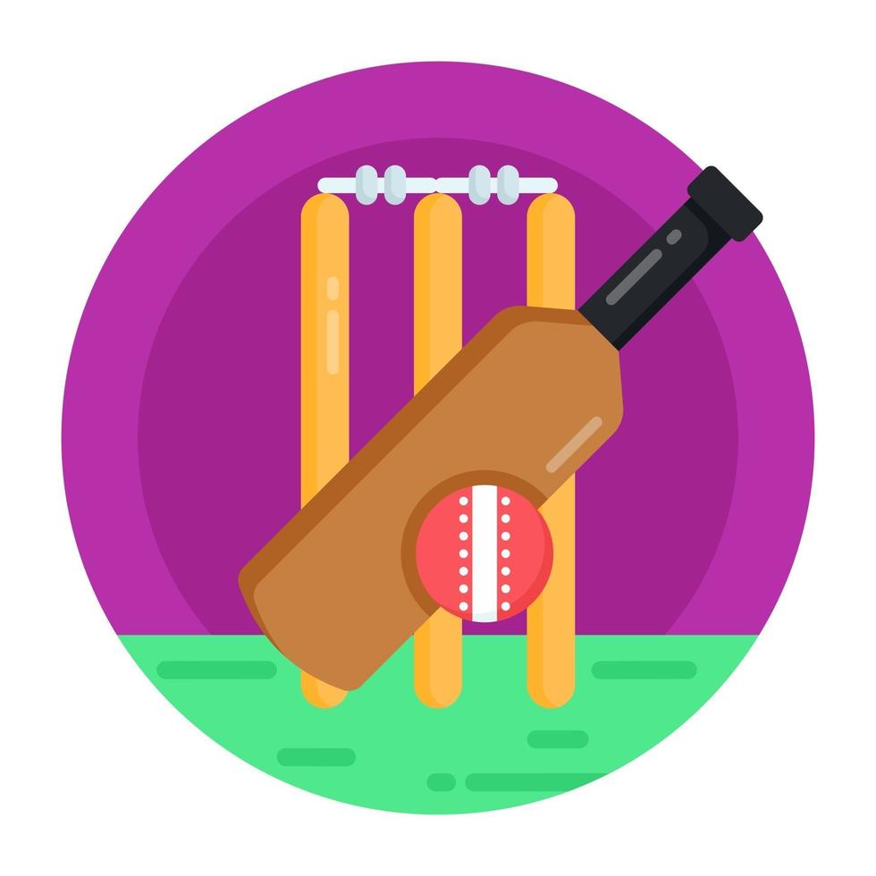 cricket y deporte vector