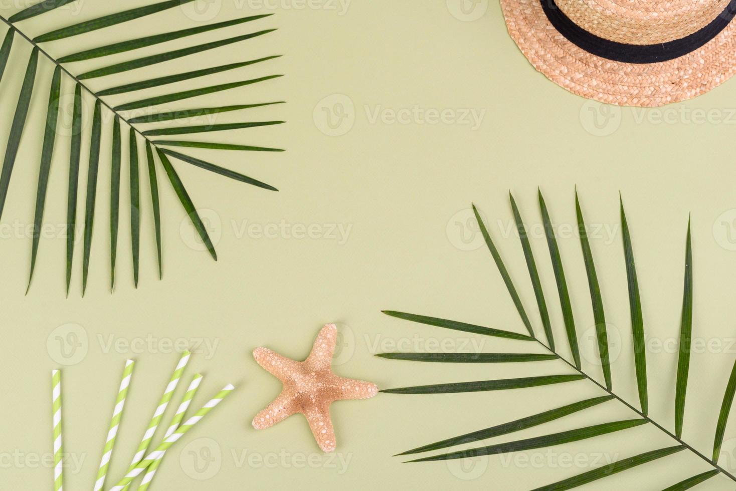 Beach accessories, glasses and hat with shells and sea stars on a colored background. Summer background photo