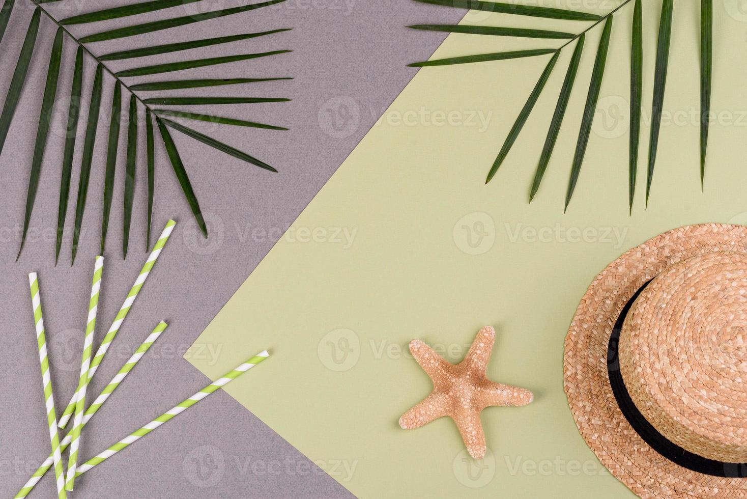 Beach accessories, glasses and hat with shells and sea stars on a colored background. Summer background photo