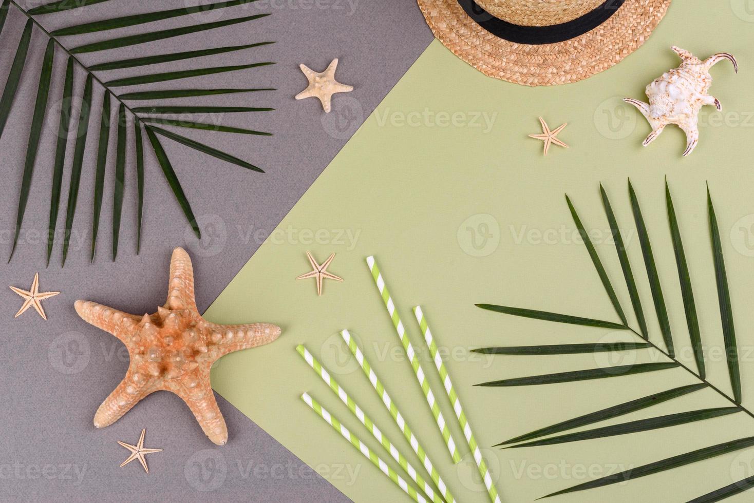 Beach accessories, glasses and hat with shells and sea stars on a colored background. Summer background photo