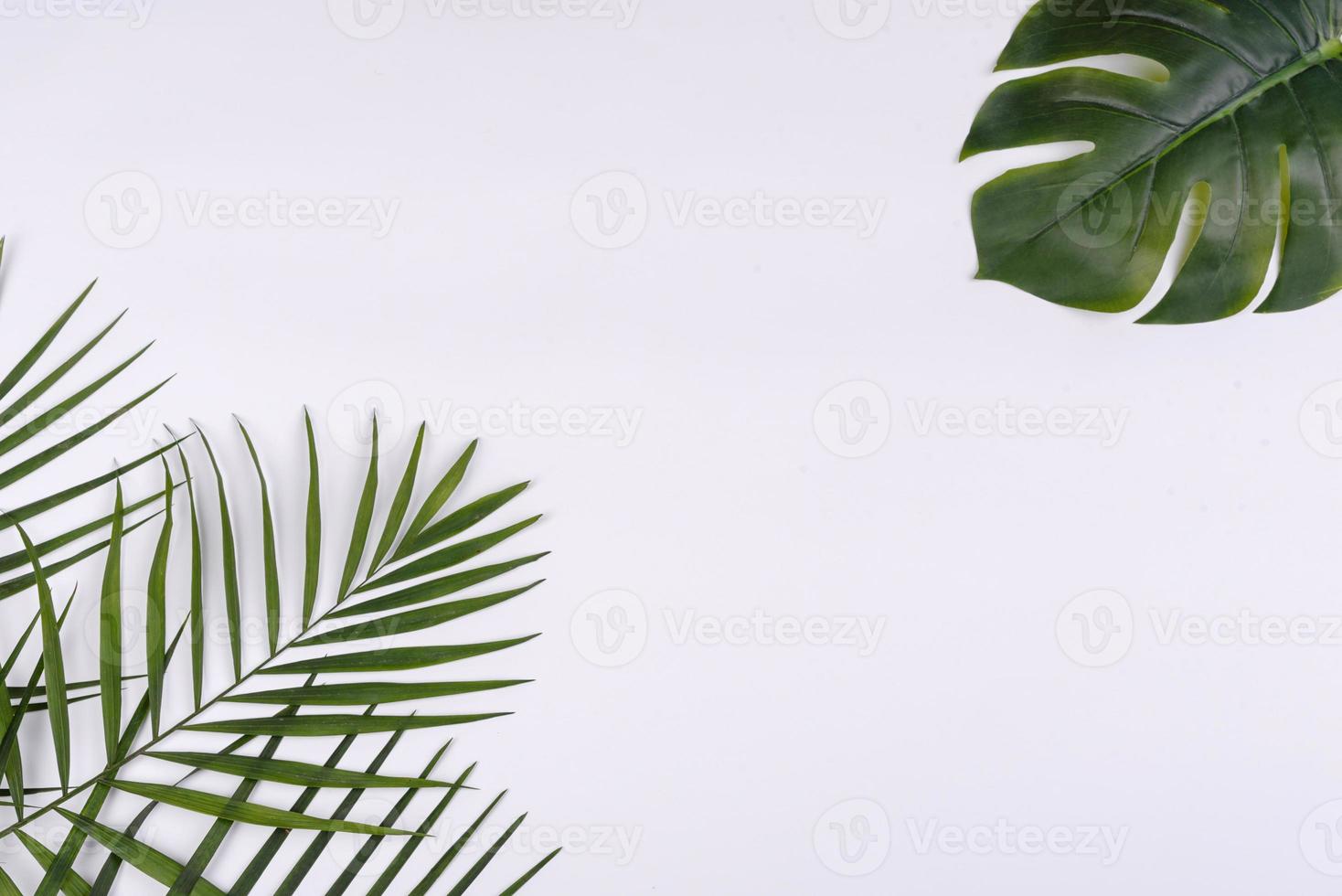 Beach accessories, glasses and hat with shells and sea stars on a colored background photo