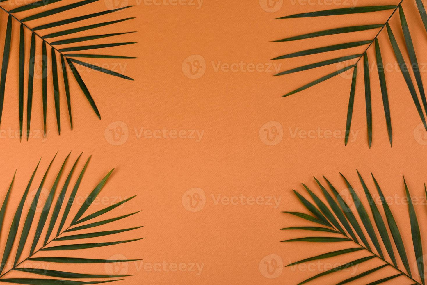 Beach accessories, glasses and hat with shells and sea stars on a colored background photo