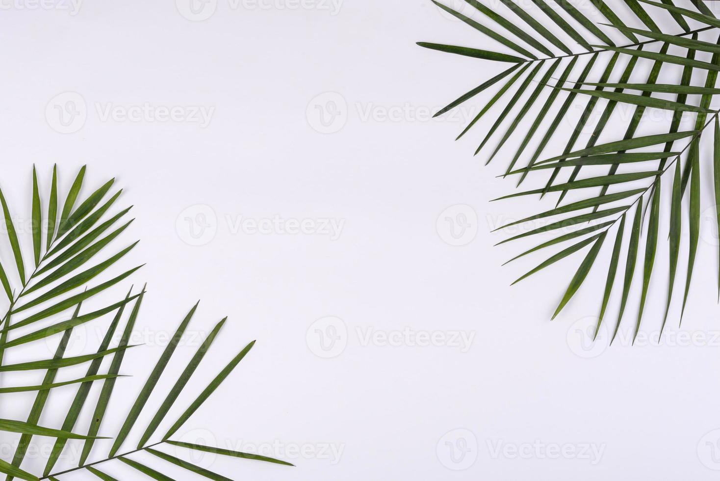 Beach accessories, glasses and hat with shells and sea stars on a colored background photo