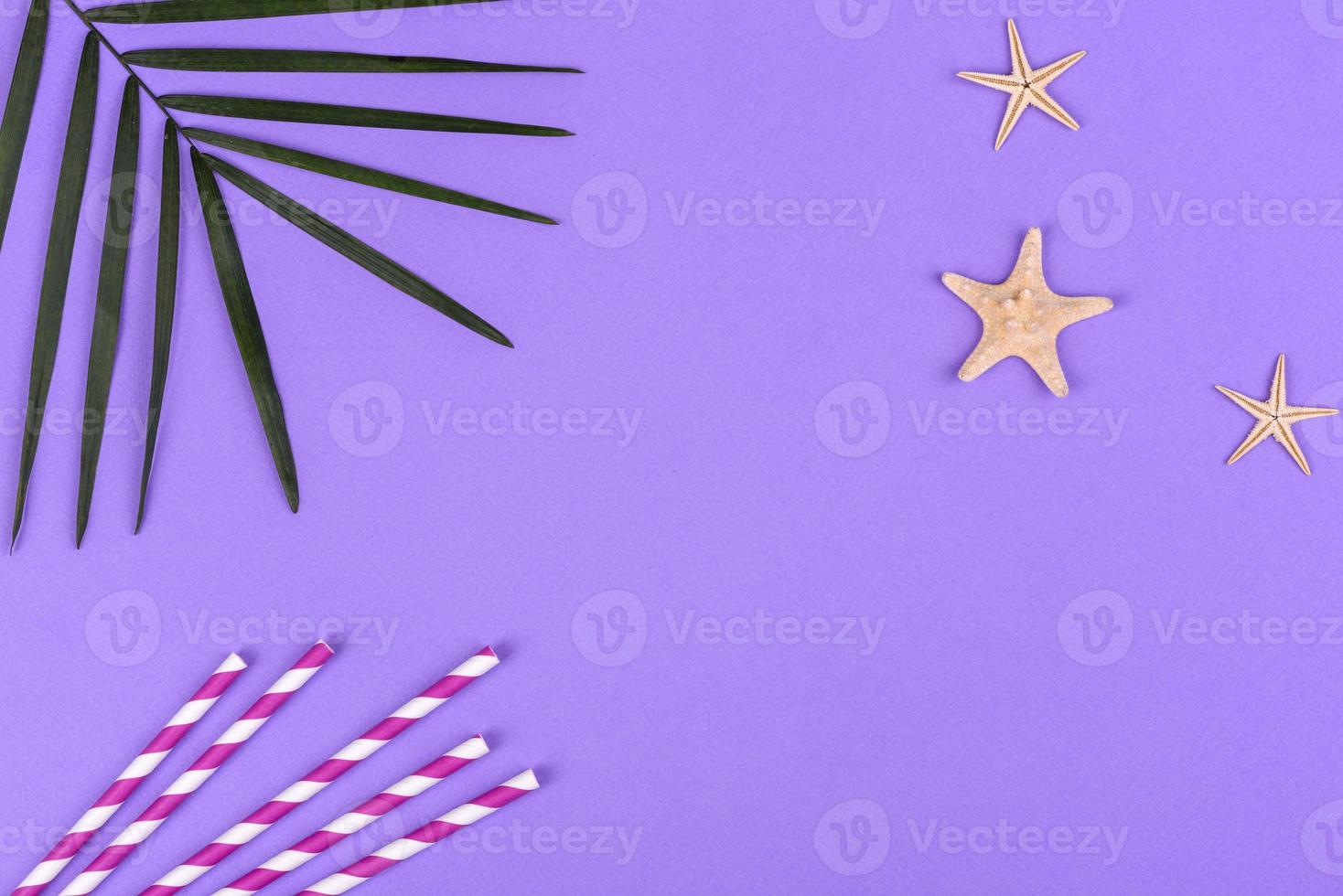 Beach accessories, glasses and hat with shells and sea stars on a colored background photo