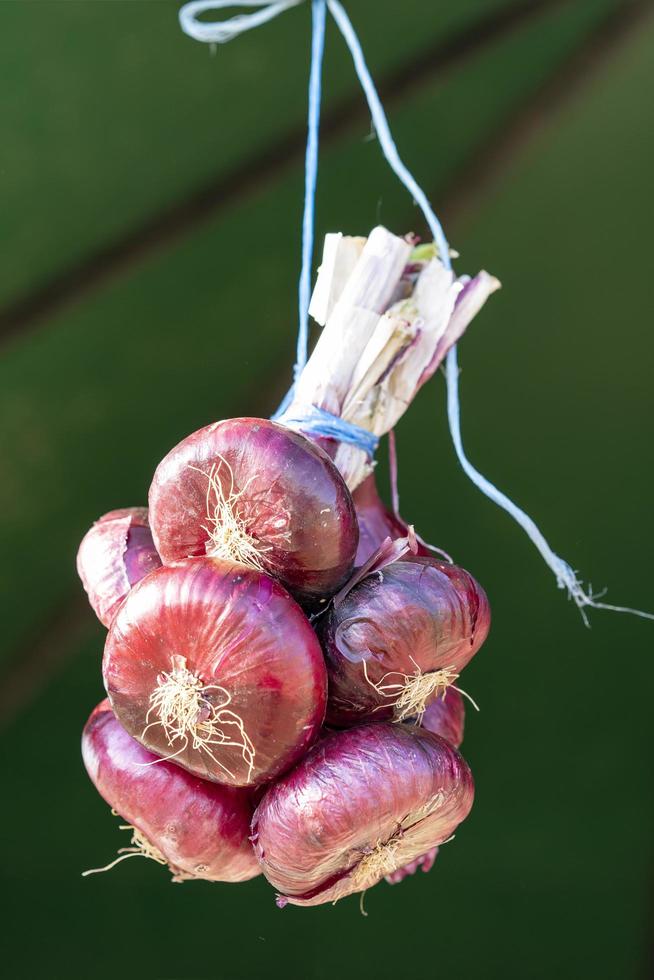 A bunch of red Yalta onions on a blurry background photo