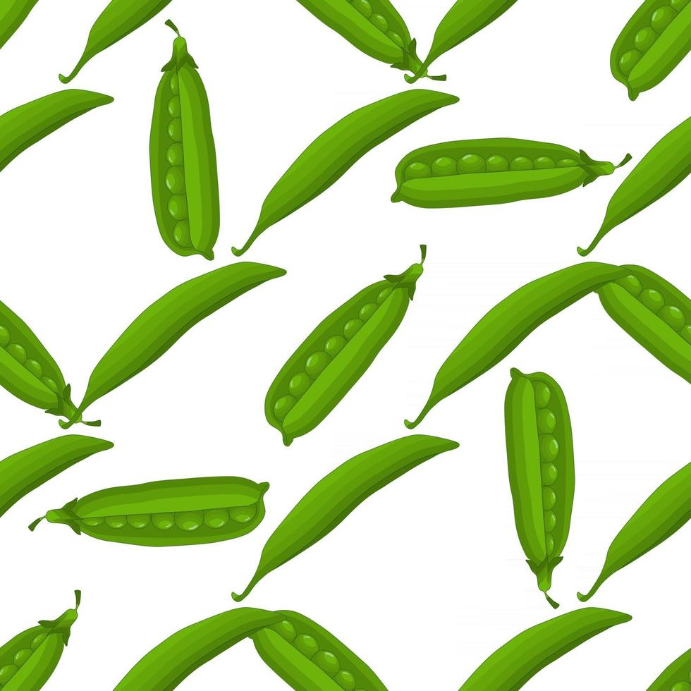 Ilustración sobre el tema de guisantes verdes patrón brillante vector