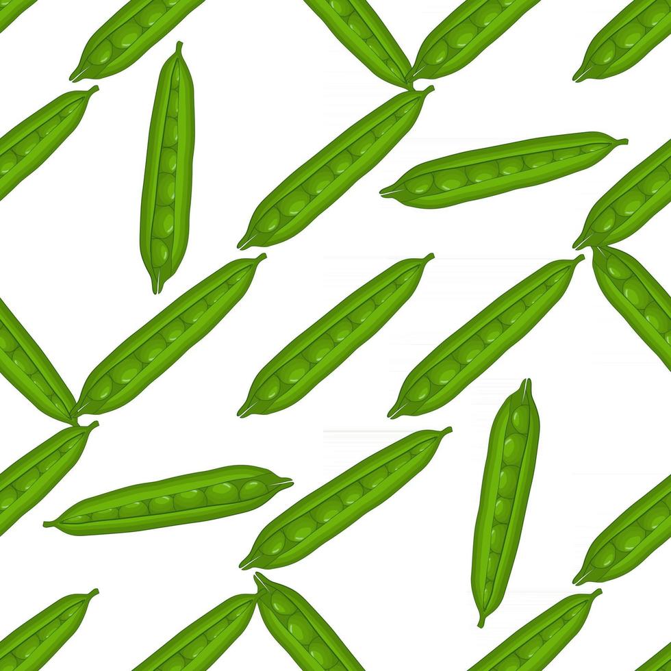 Illustration on theme of bright pattern green peas vector
