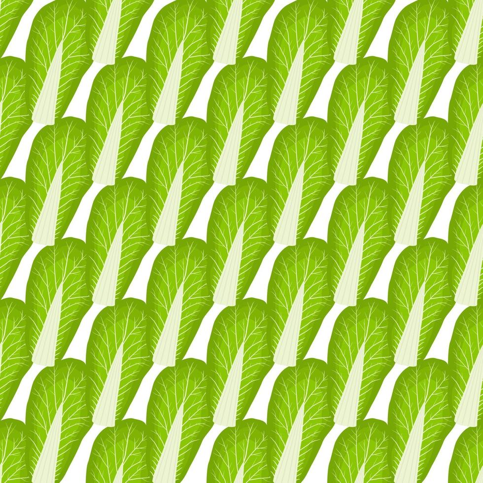 Simple colorful vegetable pattern from salad chinese cabbage vector