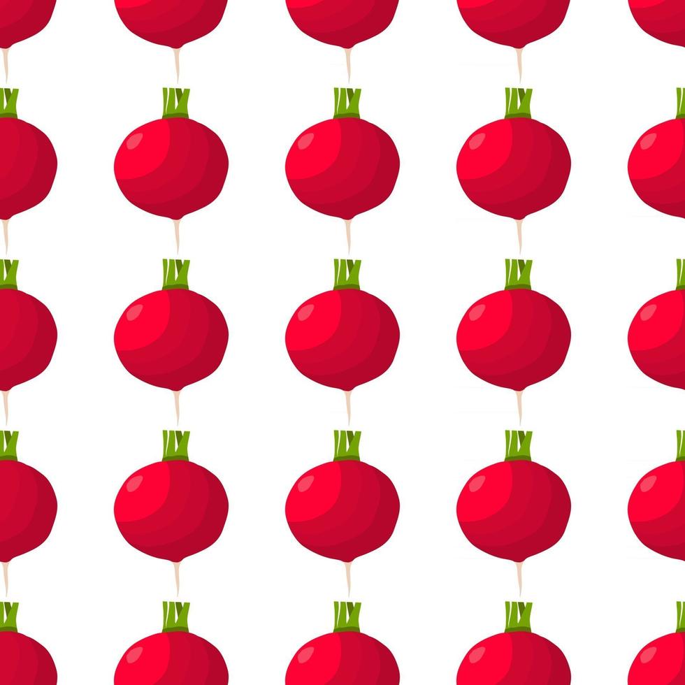 Illustration on theme of bright pattern red radish vector