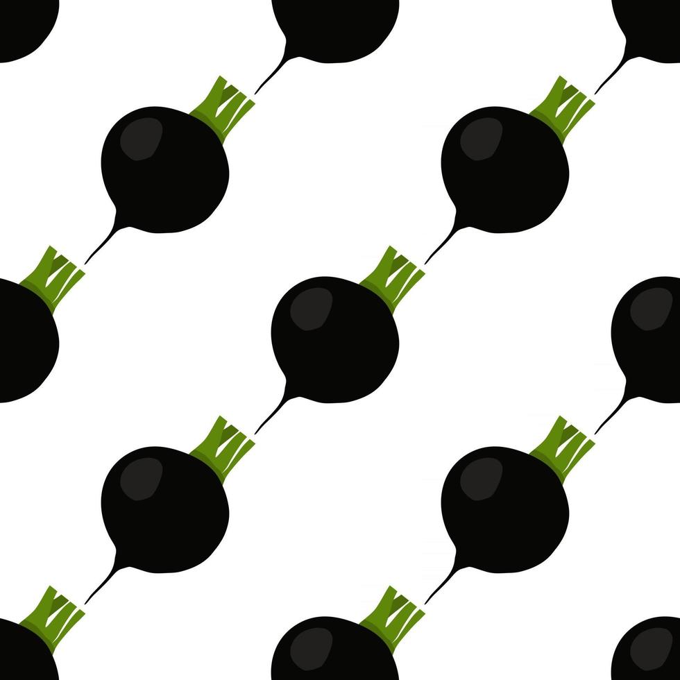 Illustration on theme of bright pattern black radish vector