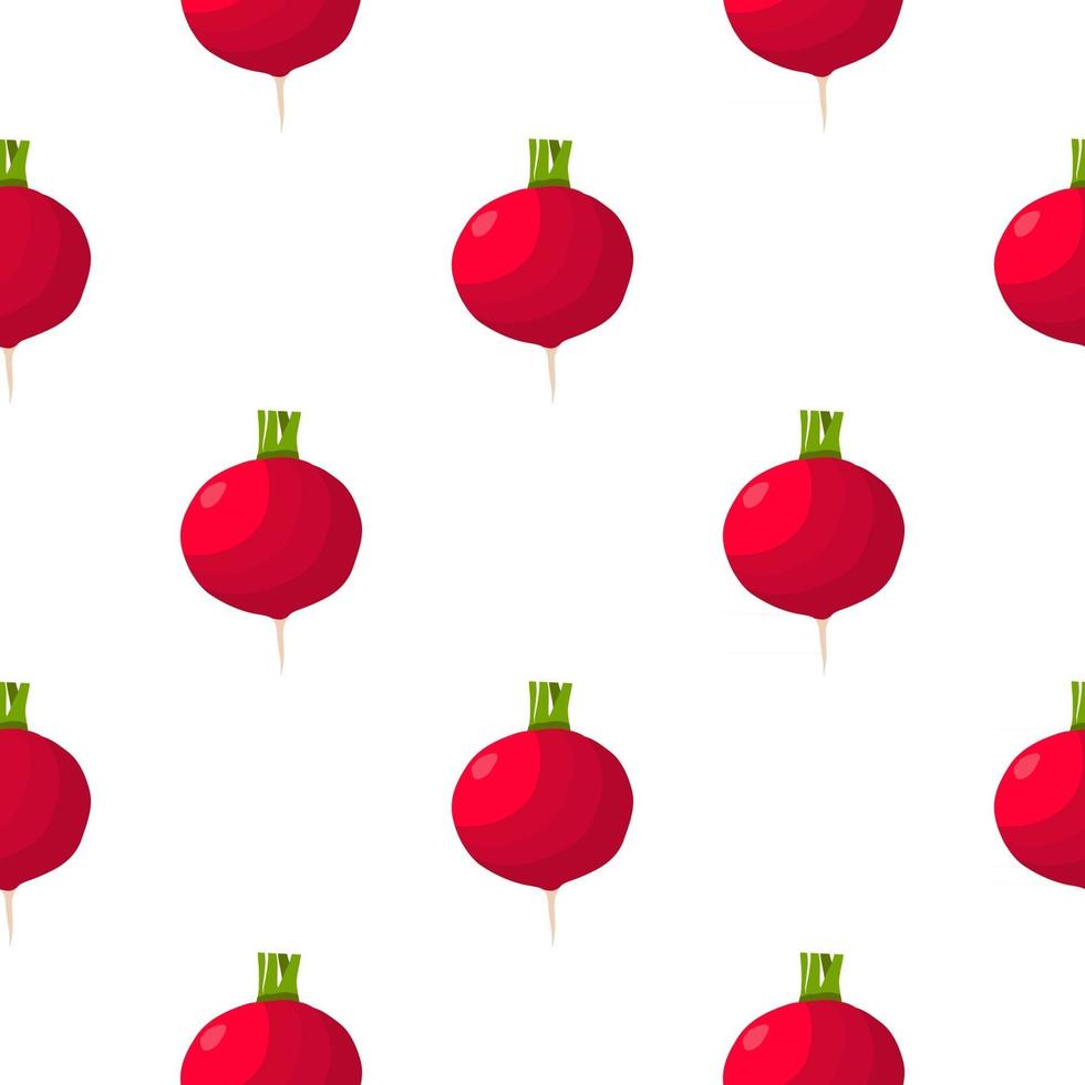 Illustration on theme of bright pattern red radish vector