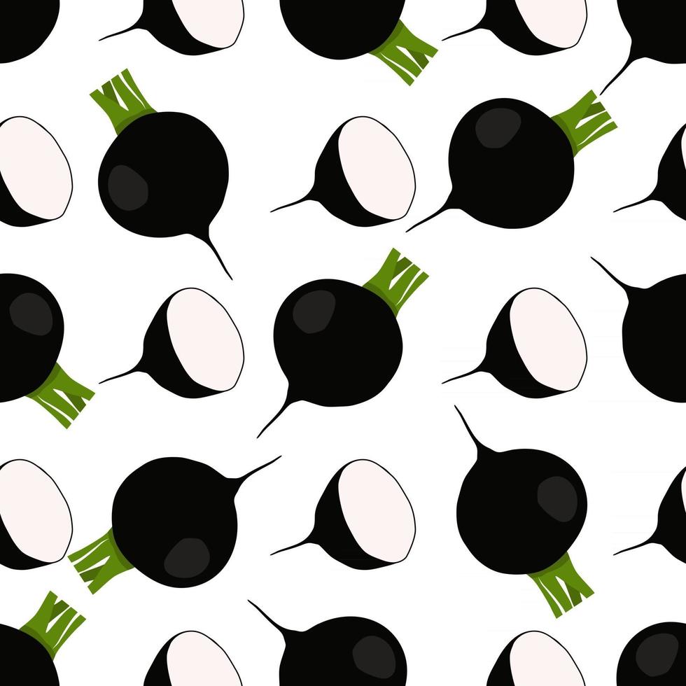 Illustration on theme of bright pattern black radish vector