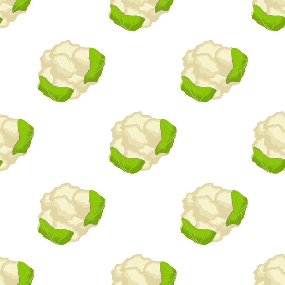Illustration on theme of bright pattern cabbage vector