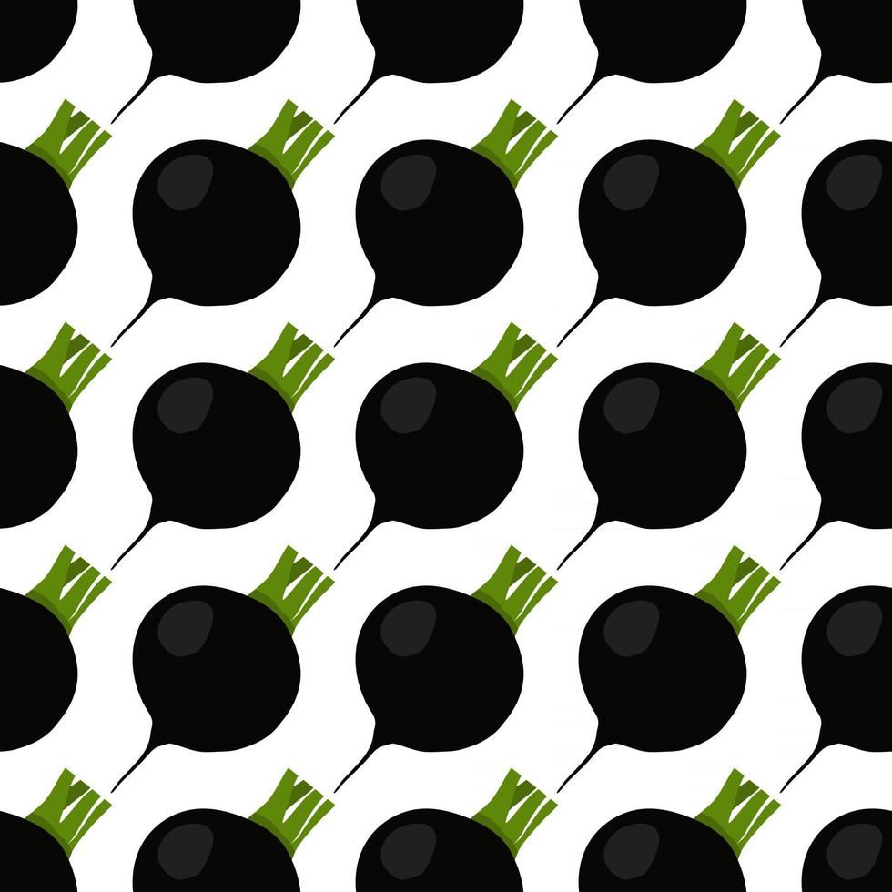 Illustration on theme of bright pattern black radish vector