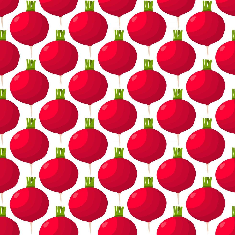 Illustration on theme of bright pattern red radish vector