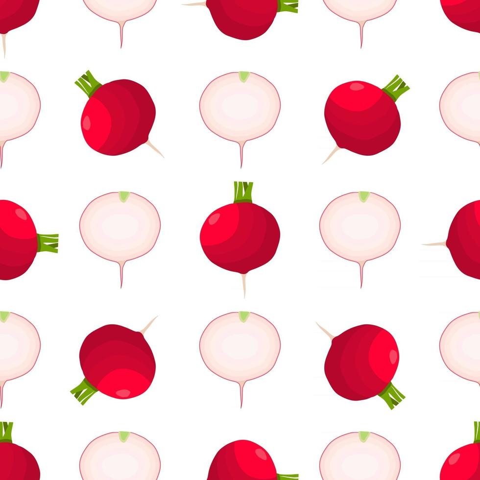 Illustration on theme of bright pattern red radish vector