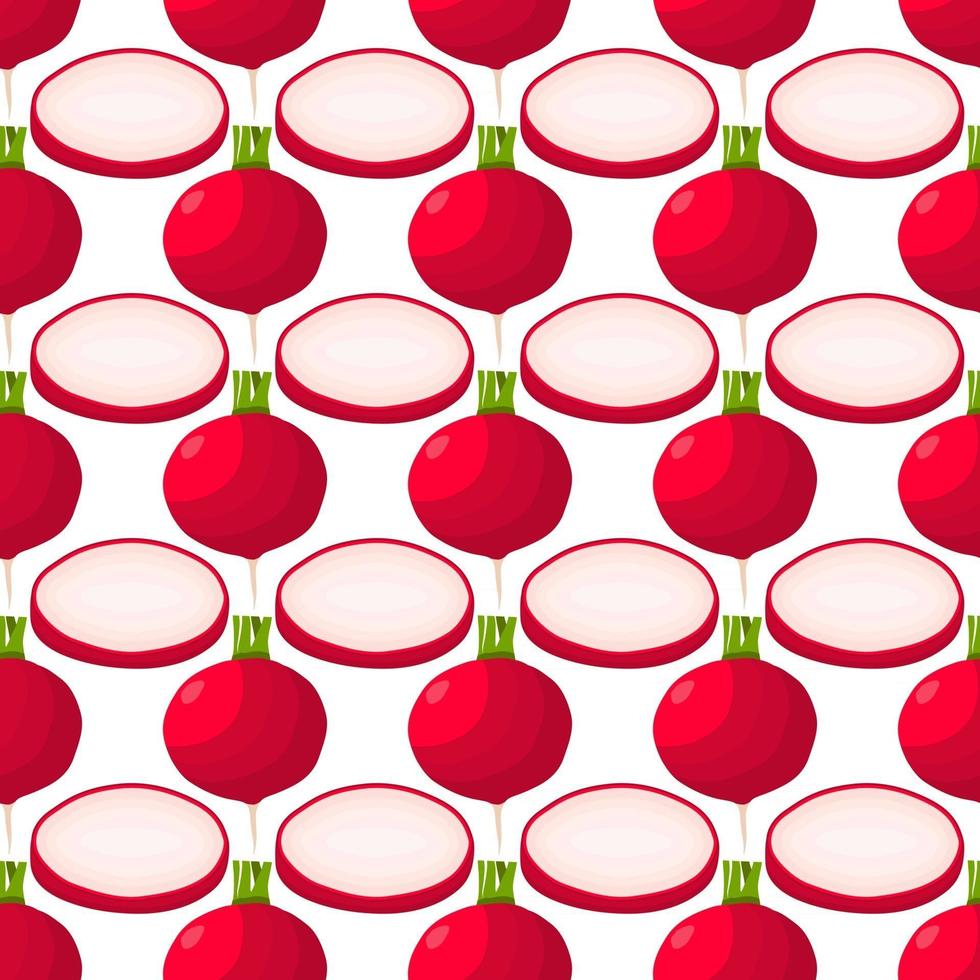 Illustration on theme of bright pattern red radish vector
