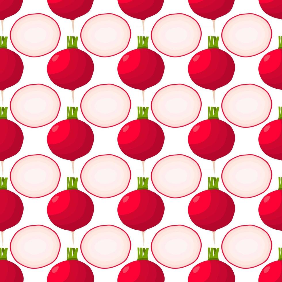 Illustration on theme of bright pattern red radish vector