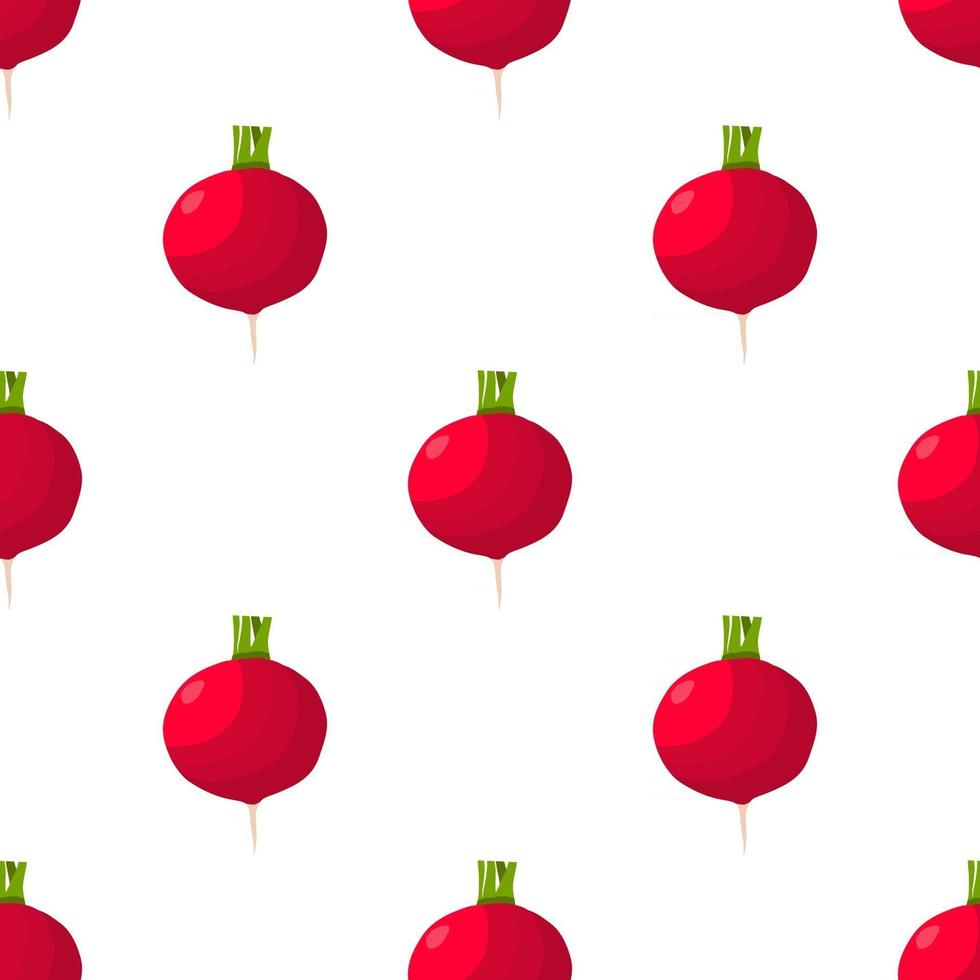 Illustration on theme of bright pattern red radish vector
