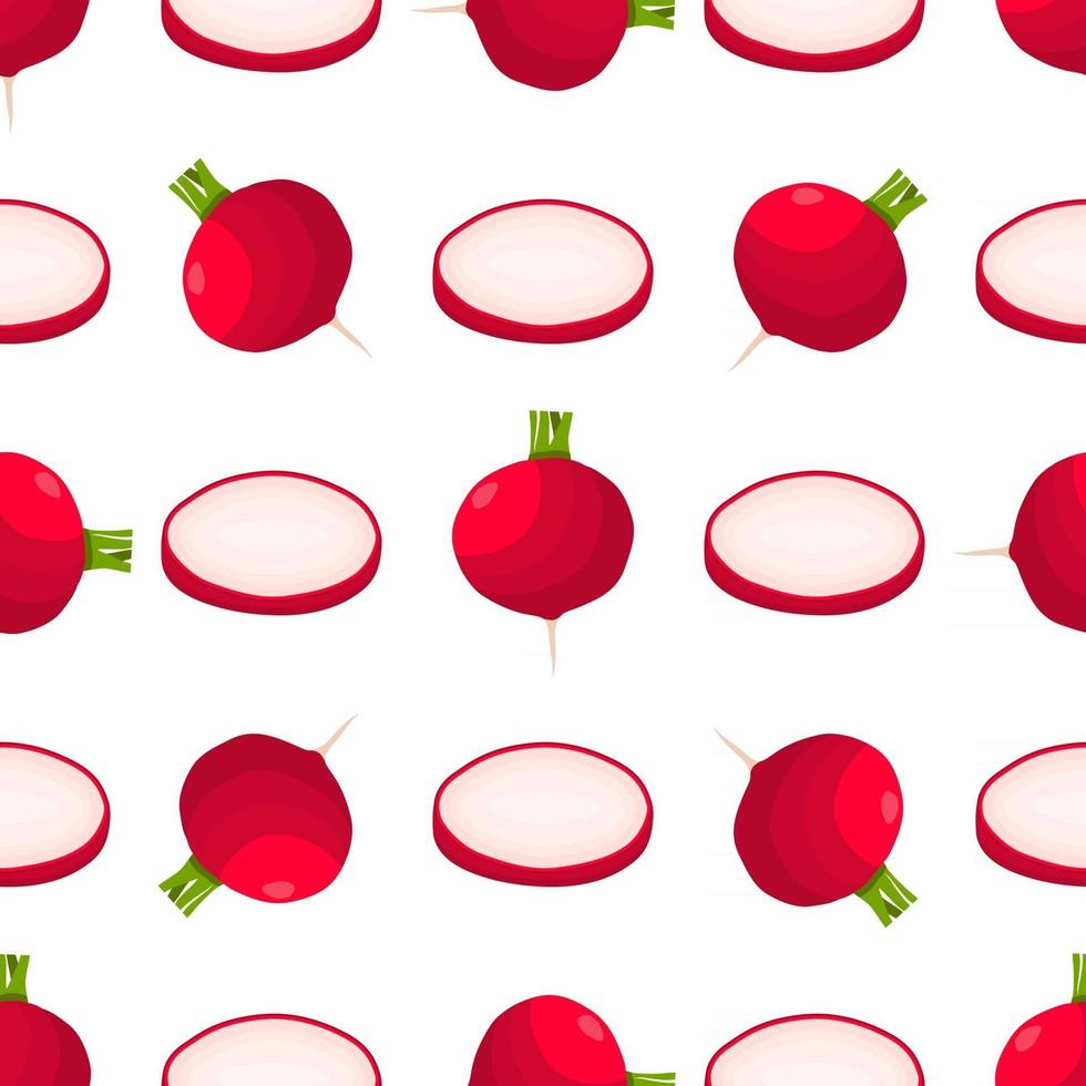 Illustration on theme of bright pattern red radish vector