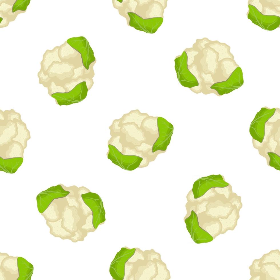 Illustration on theme of bright pattern cabbage vector