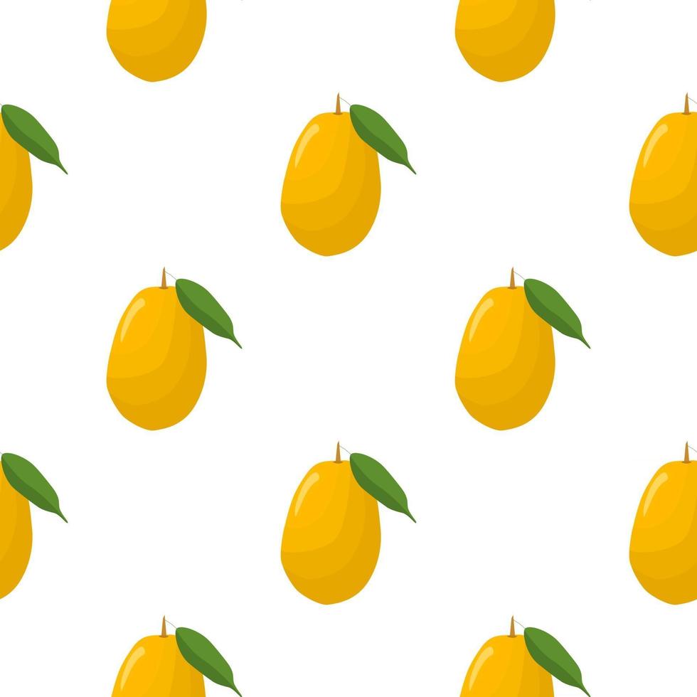 Ilustración sobre el tema kumquat transparente de color grande vector