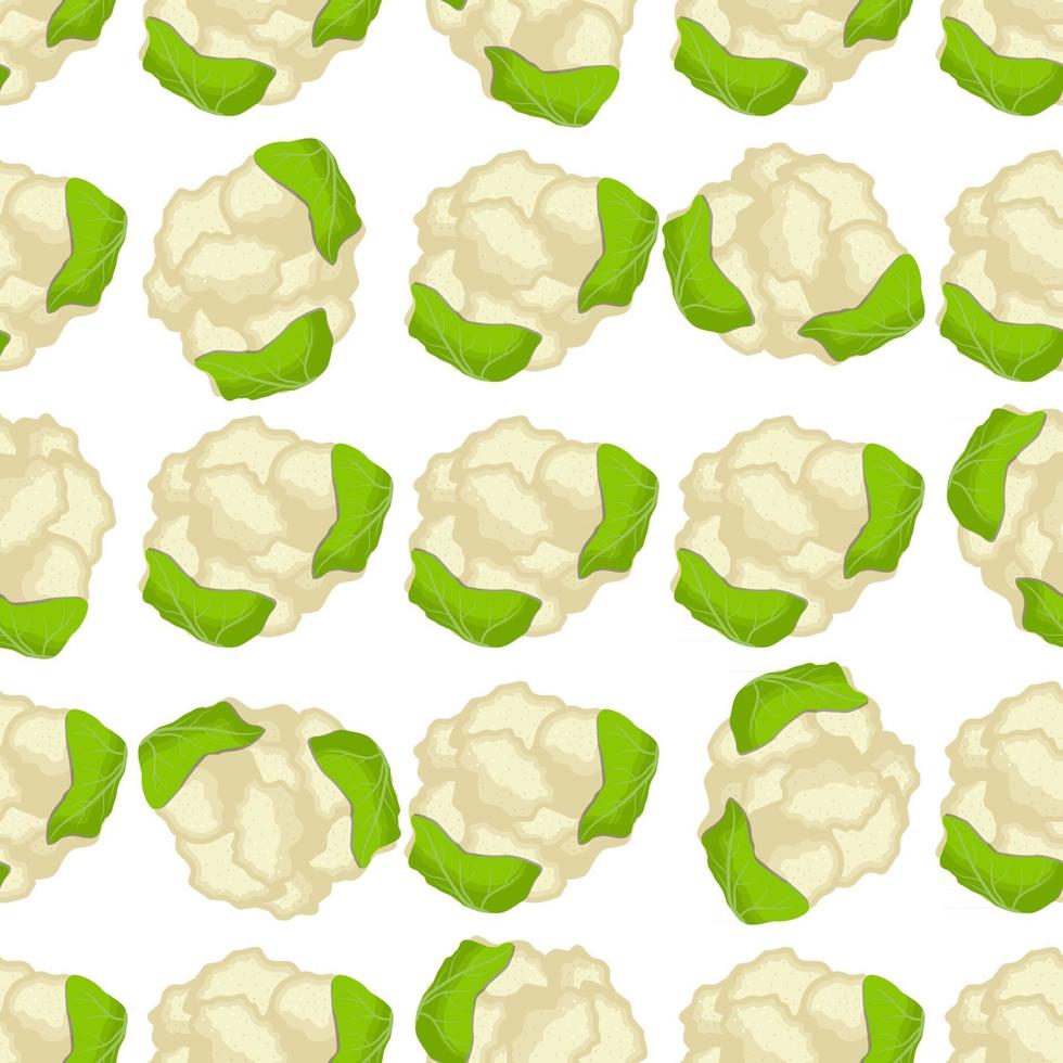 Illustration on theme of bright pattern cabbage vector